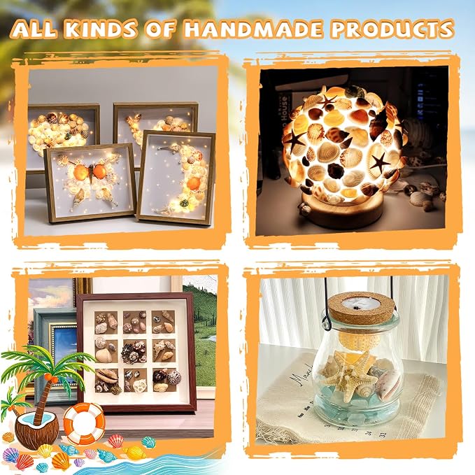 WEOXPR Mixed Sea Shells, 80+ Pcs Beach Seashells Starfish, Various Sizes Ocean - Image 4