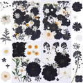115Pcs Black Dried Pressed Flowers by Unknown