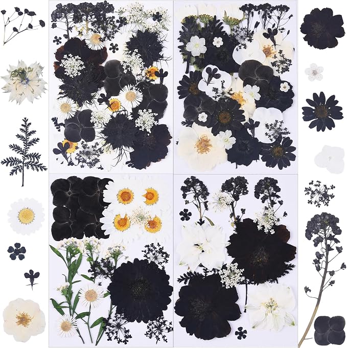 115Pcs Black Dried Pressed Flowers by Unknown