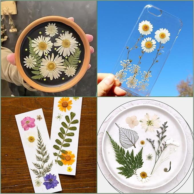 185 Pcs Dried Pressed Flowers for Resin Crafts, Real Natural Pressed Flowers - Image 7