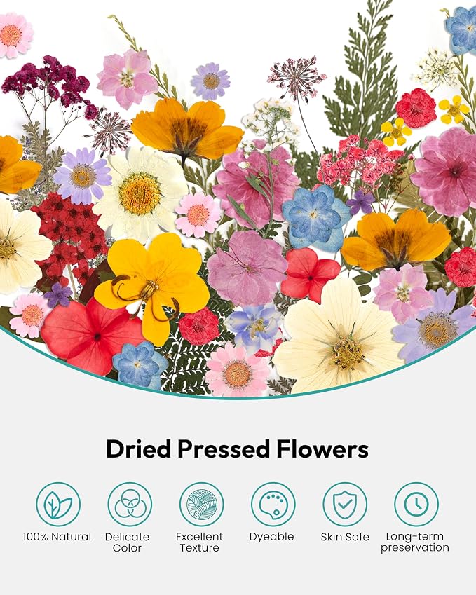 Dried Flowers, Resiners 100Pcs Pressed Flowers - Image 4