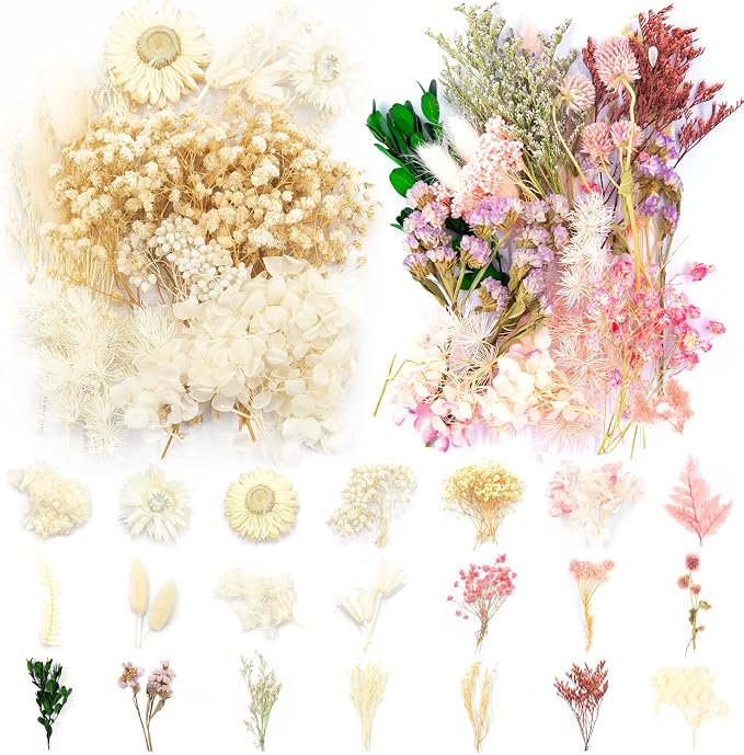 Vignee Real Dried Pressed Leaf Flowers-Multiple Colorful Pressed Flowers Daisies by Vignee