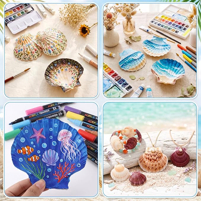Junkin 40 Pack Natural Scallop Shells and Artificial Starfish - Image 6