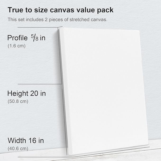 PHOENIX 16x20 Inch Pack of 2 Canvas - Image 2
