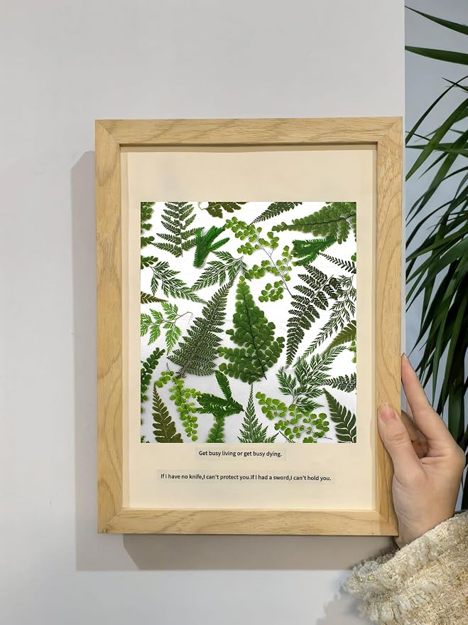 55 Pcs Green Leaves Ferns Dried Pressed Flowers - Image 3