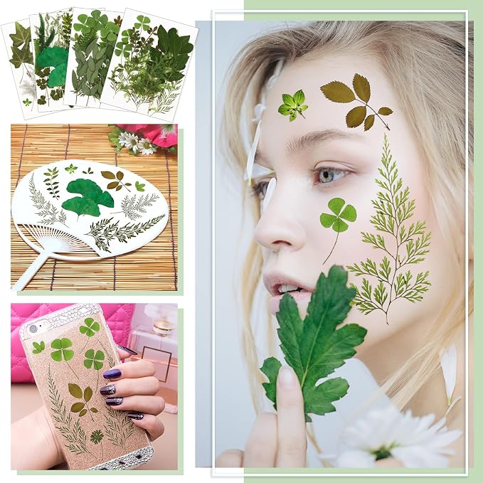 Nuanchu 88 Pcs Pressed Flowers Bulk Dried Flower - Image 6