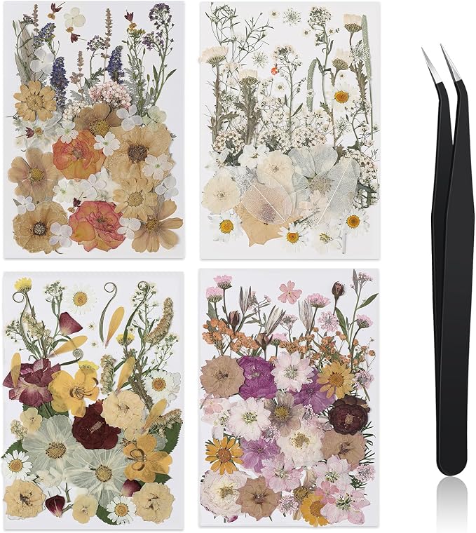 Nuanchu 200 Pcs Pressed Flowers Bulk Dried Flower by Nuanchu