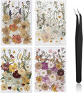 Nuanchu 200 Pcs Pressed Flowers Bulk Dried Flower by Nuanchu