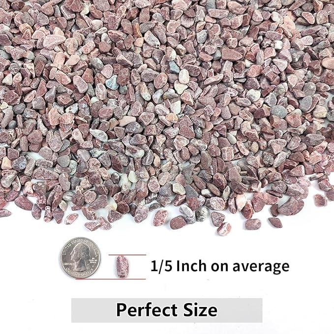 YISZM 5LB Succulent and Cactus Gravel Pebbles, 1/5 Inch Natural Decorative - Image 2