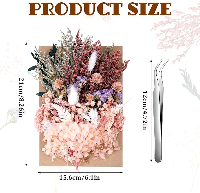 Real Dried Flowers, Natural Dry Flowers Mixed Natural Pressed Flowers Flores - Image 4