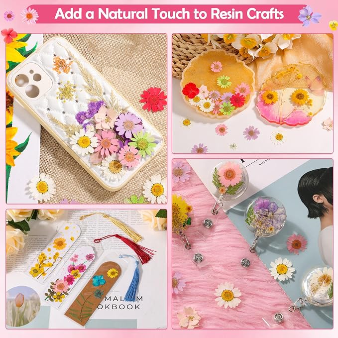 481 PCS Pressed Flowers for Crafts, Real Dried Pressed Flowers Nature Dry - Image 7
