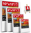 4 Packs Stretched Canvases for Painting by ESRICH