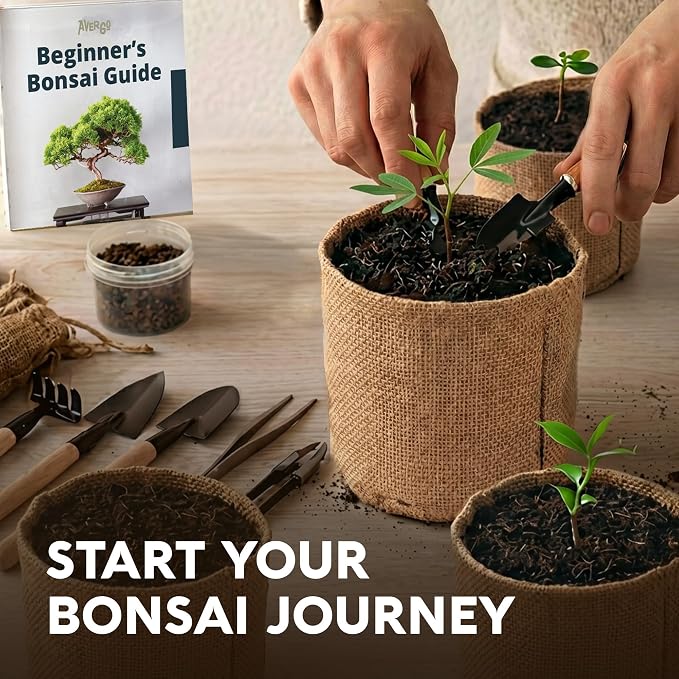 Bonsai Tree Kit Deluxe - Image 12