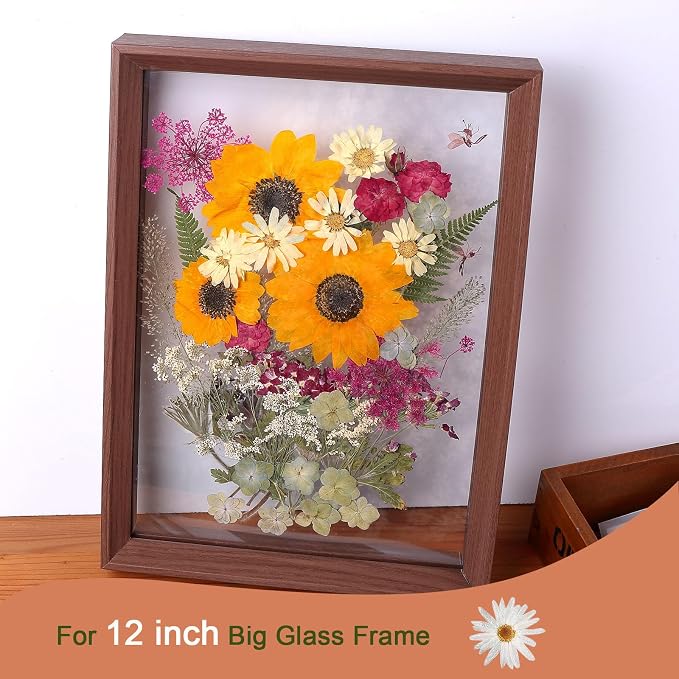 12“ Large Fall Dried Pressed Flowers - Image 4