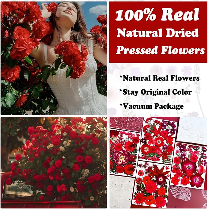 132Pcs Red Pressed Dried Flowers and Butterfly - Image 2