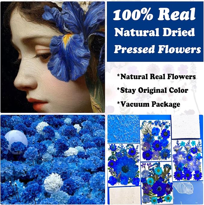 132Pcs Blue Pressed Dried Flowers and Butterfly - Image 2