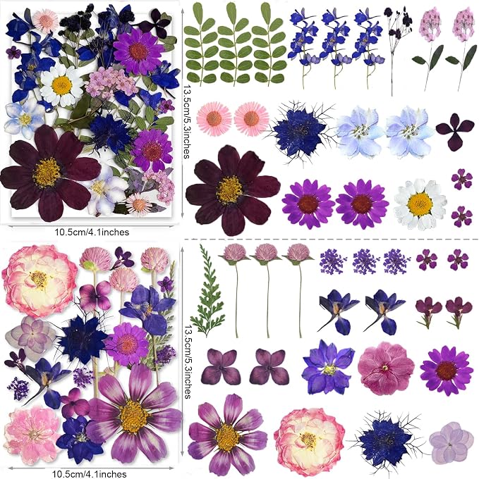 150PCS Purple Dried Pressed Flowers - Image 3