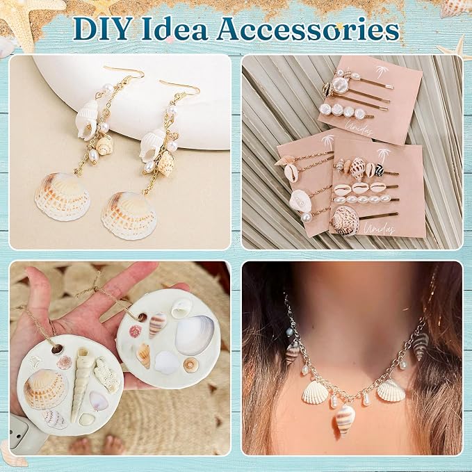 Zefy 23 Types Small Sea Shells for Crafts, Mini Shells for Vase Filler Beach - Image 3