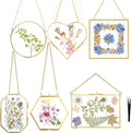 Pressed Flower Frames, Wall Hanging Double Glass Picture Frames by Unknown