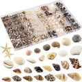 Small Sea Shells 1200Pcs Tiny Seashells Mixed Size Ocean Beach Starfish by Unknown