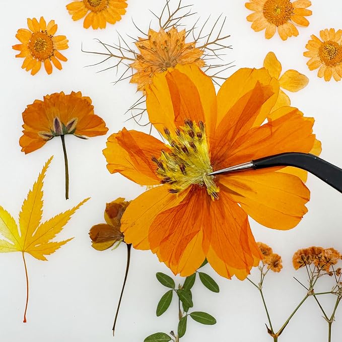 Woohome 4 Pack Dried Flowers for Resin Molds - Image 9