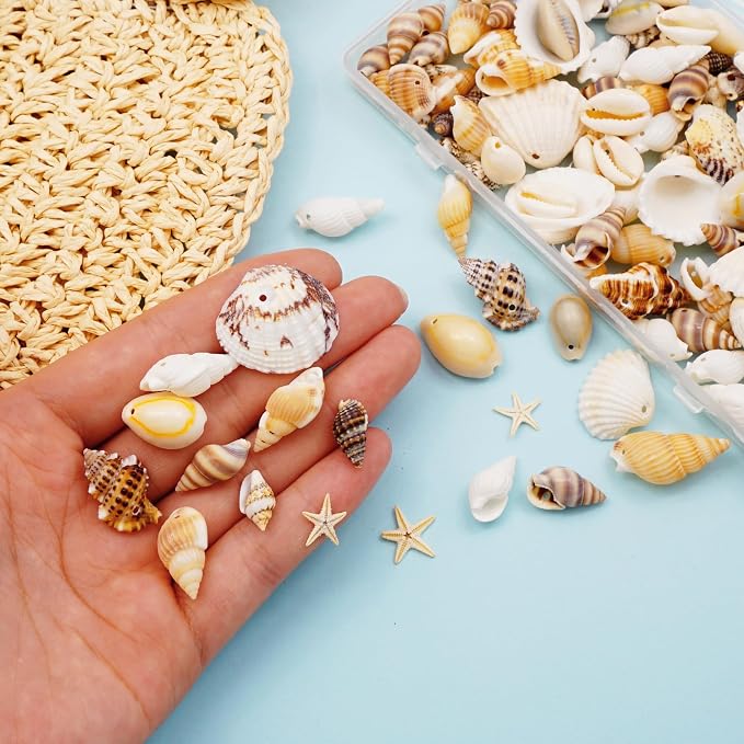 yaokan Natural Sea Shells & Starfish Set Drilled Beach Conchs | Jewelry DIY - Image 3