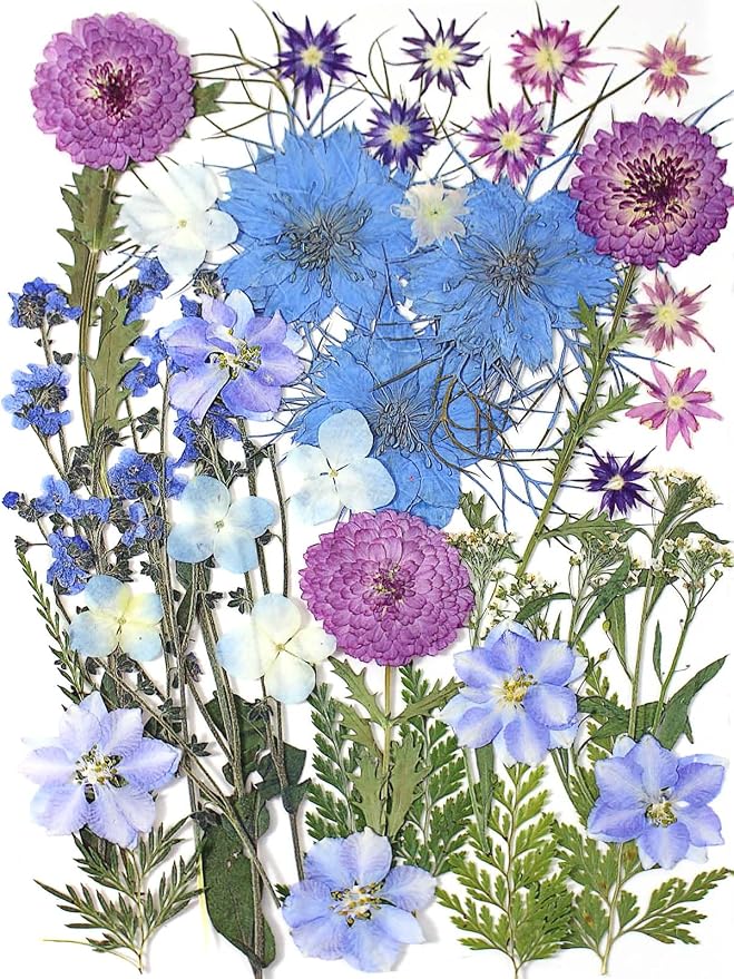 8 Types 46pcs Real Dried Pressed Flowers Leaf Plant Herbarium by AHTONG