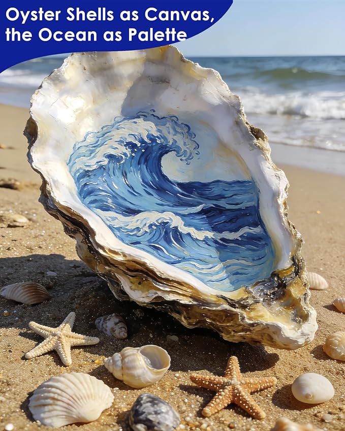 ZhenD 20Pcs 5"-6" Oyster Shells - Image 5
