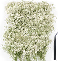 100Pcs Mini Dried Pressed White Baby's Breath Flowers Bulk by Unknown
