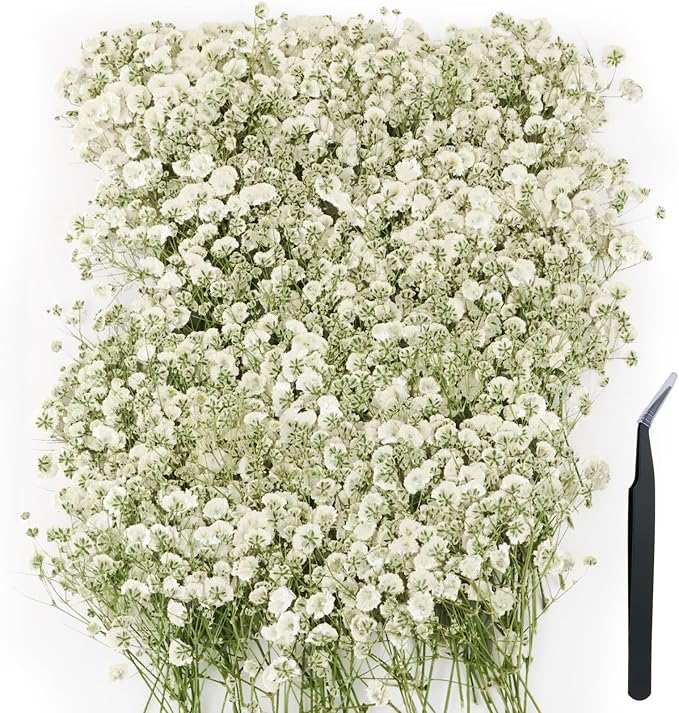 100Pcs Mini Dried Pressed White Baby's Breath Flowers Bulk by Unknown