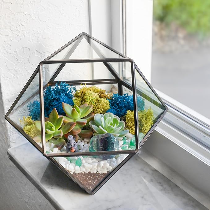 Creations by Nathalie DIY Geometric Glass Terrarium Kit - Image 6