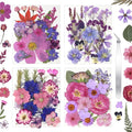 Dried Flowers for Resin | Vacuum Packed DIY Pressed Flowers for Epoxy, Nail by CONVELIFE
