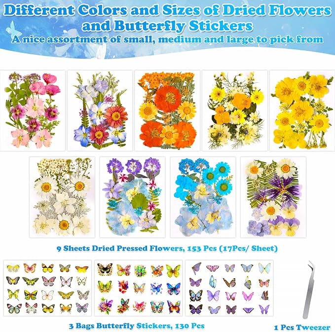 284 Pcs Dried Pressed Flowers - Image 4
