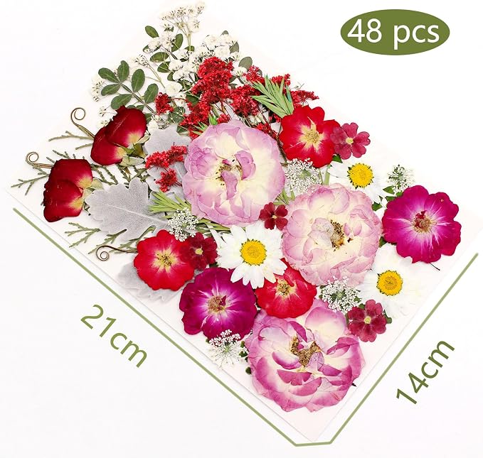 48 Pcs Mix Natural Dried Pressed Flowers - Image 7