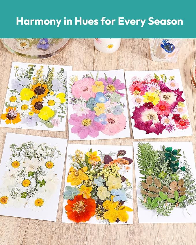 Dried Flowers, Resiners 174Pcs Pressed Flowers - Image 2