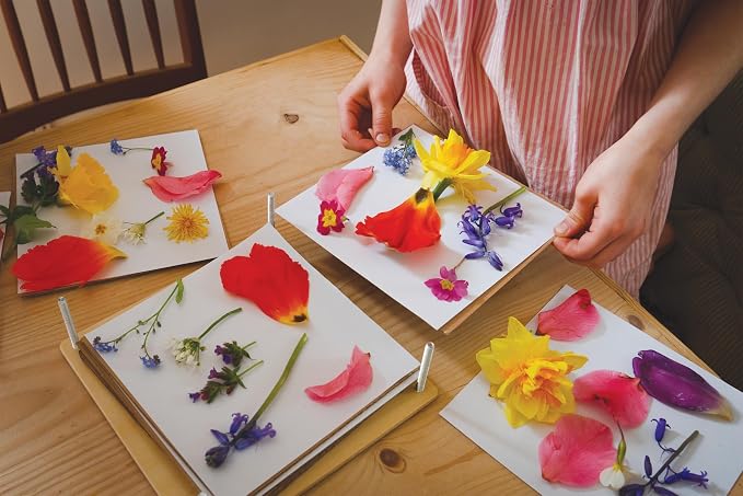 Tender Leaf Toys - Image 8