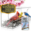 Window Bird Feeder by Nature’s Hangout by NaturesHangout