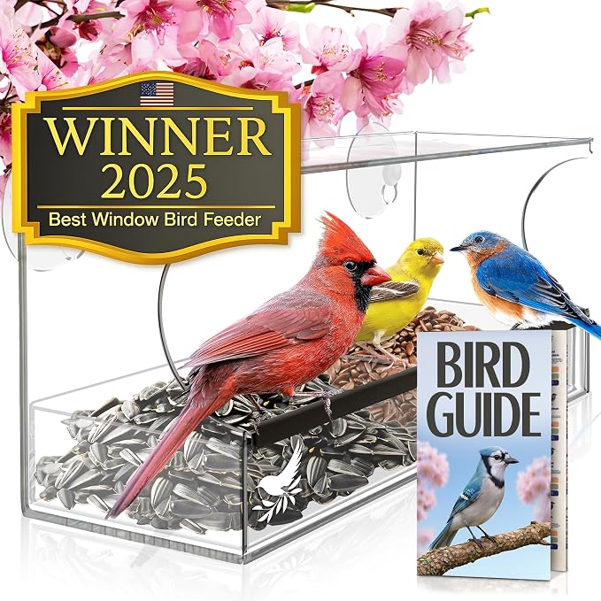 Window Bird Feeder by Nature’s Hangout by NaturesHangout