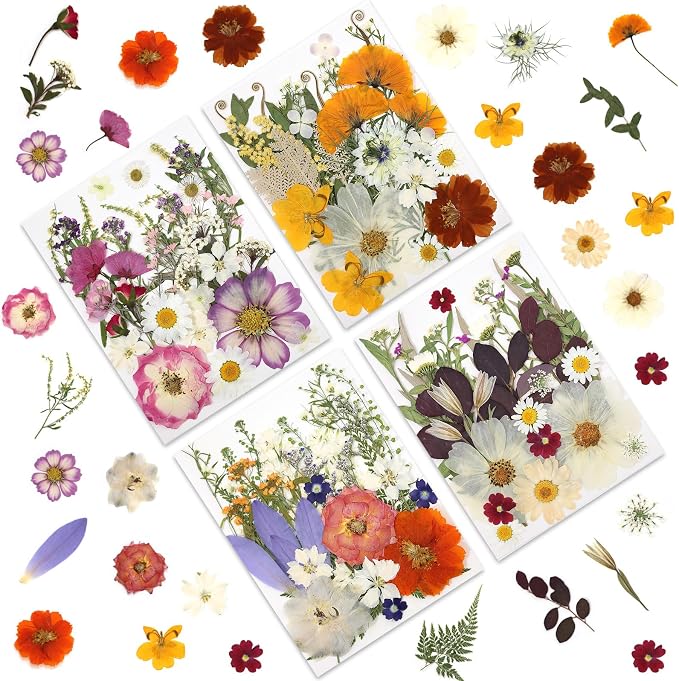 LUXEEASE 4 Color 120P Mixed Blooms Dried Pressed Flowers | Big small blooms by LUXEEASE