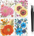 Nuanchu Dried Flower for Crafts Resin Pressed Flowers Bulk, Large Real Dried by Nuanchu