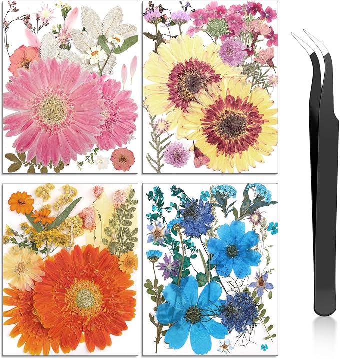 Nuanchu Dried Flower for Crafts Resin Pressed Flowers Bulk, Large Real Dried by Nuanchu