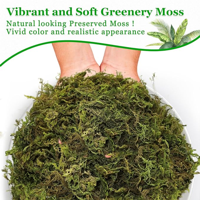 Riare 7OZ Natural Moss Artificial Fake Moss Alternative - Image 4