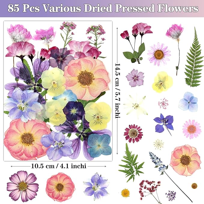 85Pcs Pressed Flowers for Crafts, DIY Art, Candle & Soap Making w/ Tweezer - Image 2
