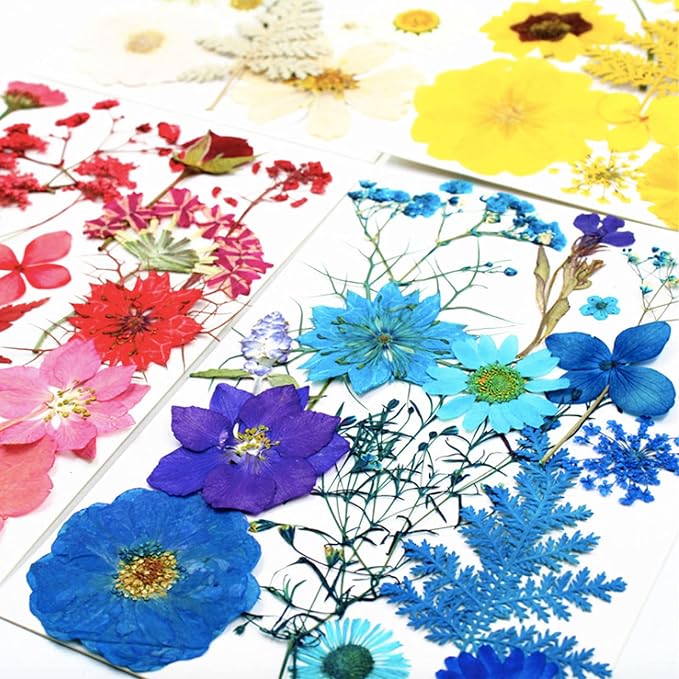 85 Pcs Blue Pressed Dried Flowers - Image 3
