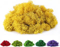 Fake Moss Preserved Reindeer Moss 3.5 OZ by DAZUINIAO