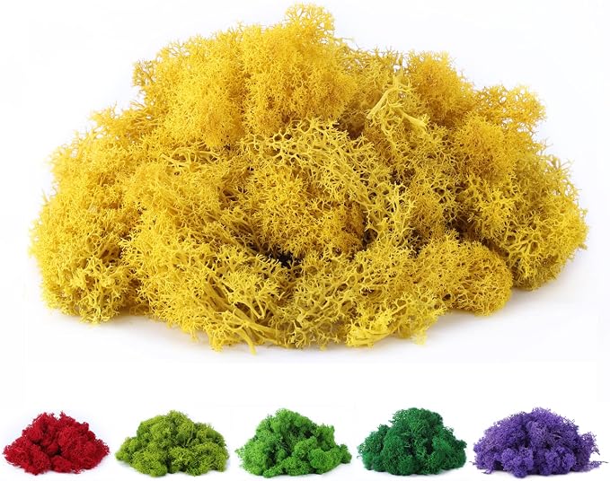 Fake Moss Preserved Reindeer Moss 3.5 OZ by DAZUINIAO