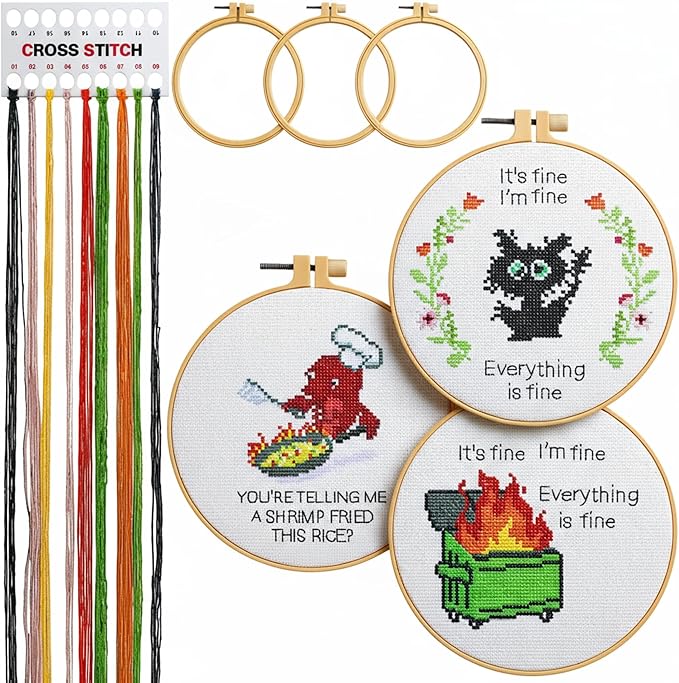 Daifunli 3 Sets Funny DIY Embroidery Kits by Daifunli