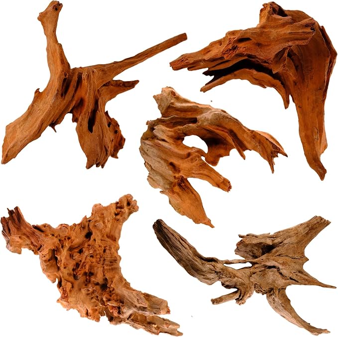 Azil Natural Driftwood 10'' by AzilDriftwoodforAquarium