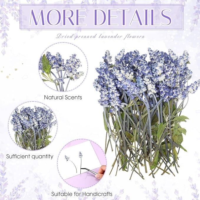 Wavwavw 200 Pcs Pressed Dried Lavender Flowers Stems Natural Preserved Real - Image 3