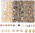 1300 PCS Small Seashells for Crafts, Tiny Mixed Sea Shells by Unknown